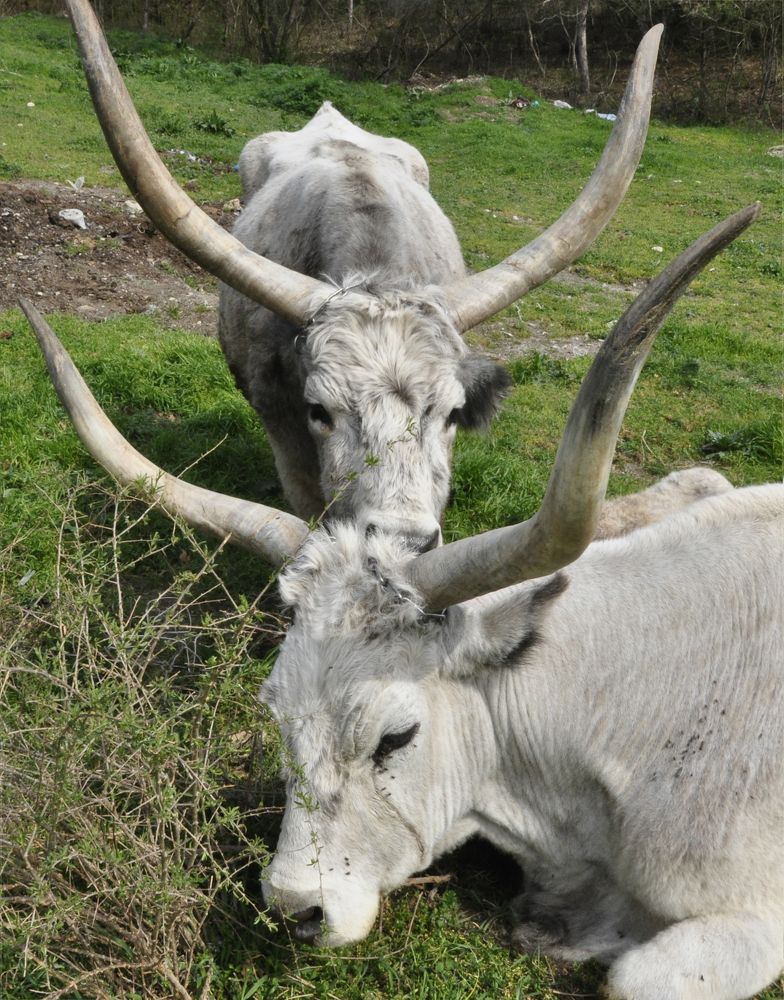 Photograph by Евгений Самулев