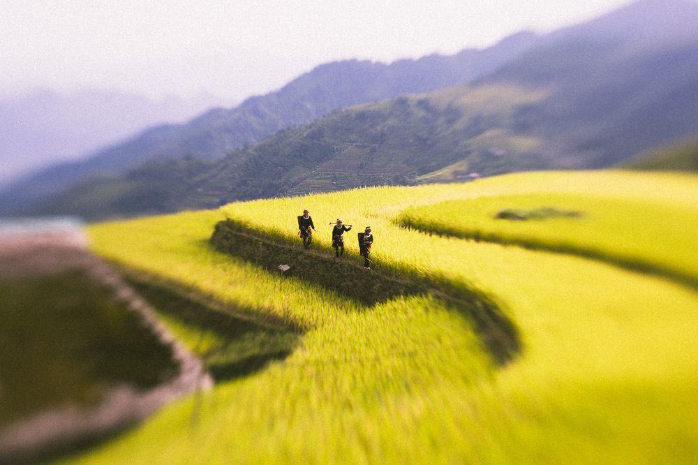 Фотография автора An Nguyen Quoc