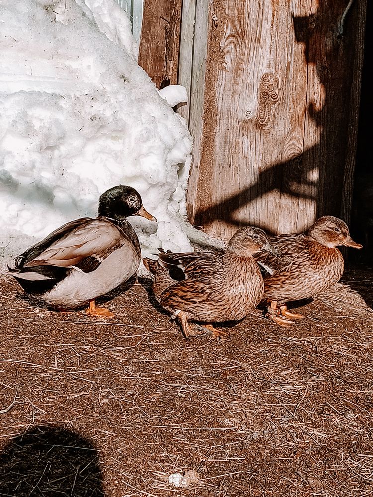 Photograph by Зульфия Вакилова