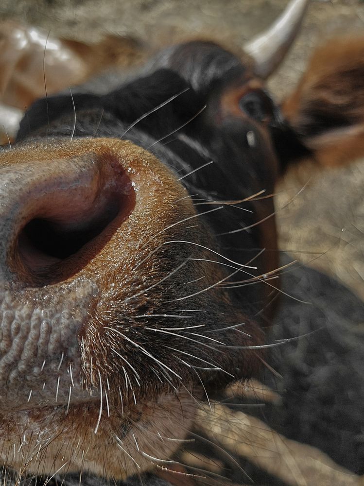 Photograph by Зульфия Вакилова