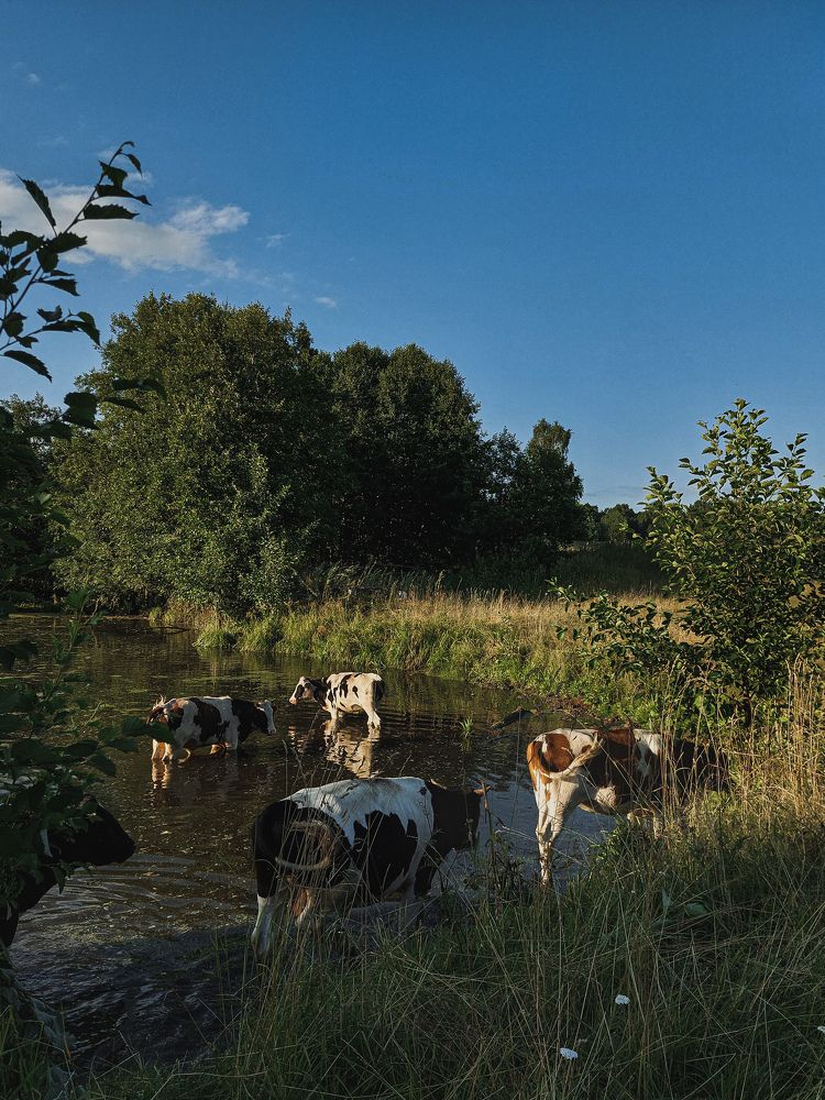 Photograph by Зульфия Вакилова