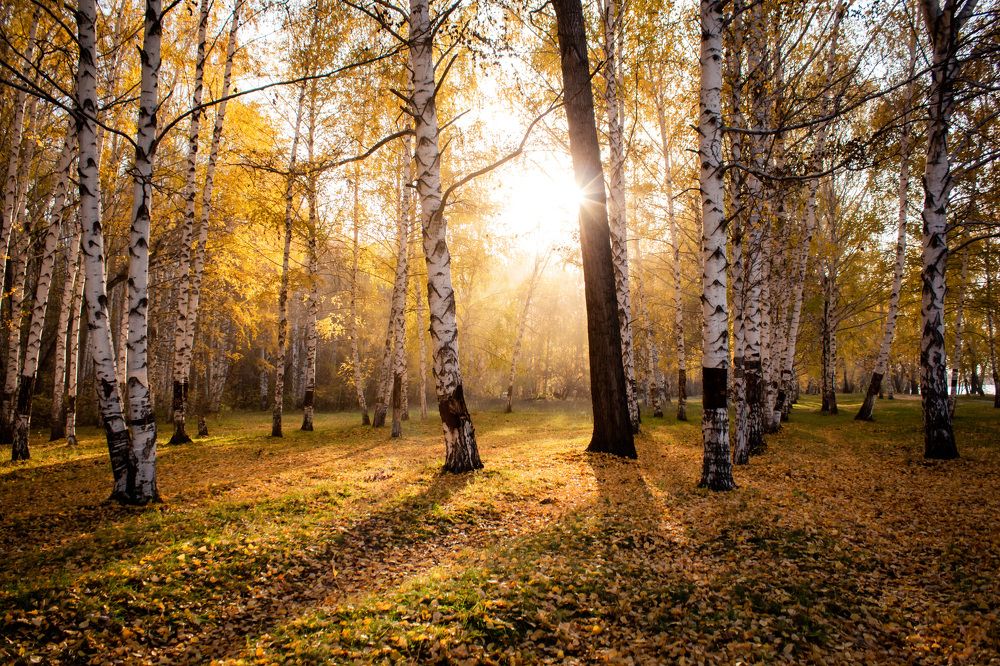 Photograph by Екатерина Оспанова