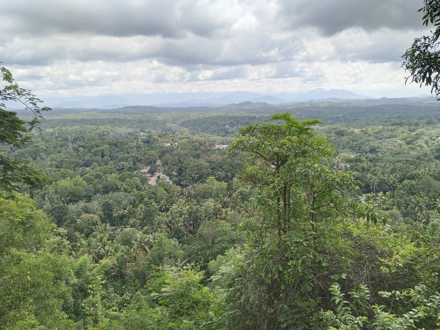 Photo #9675847
