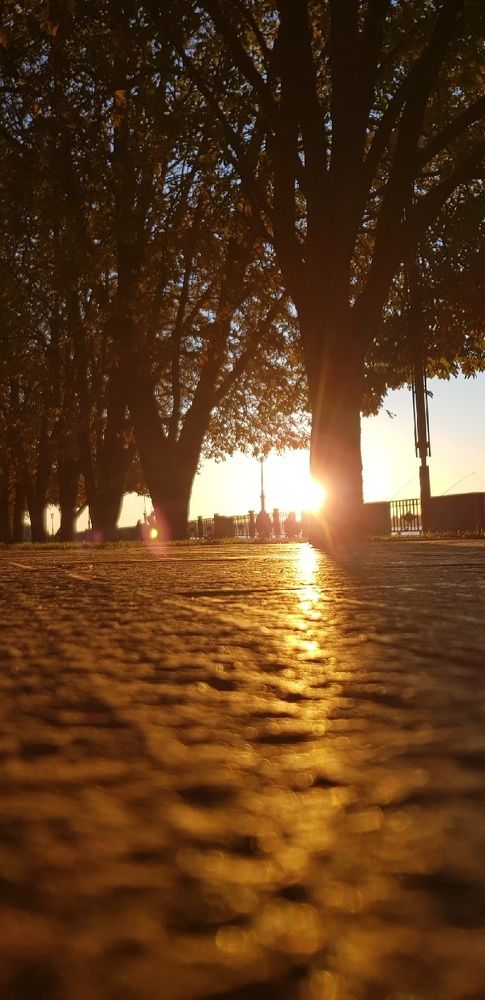 Фотография автора Ольга Мусина