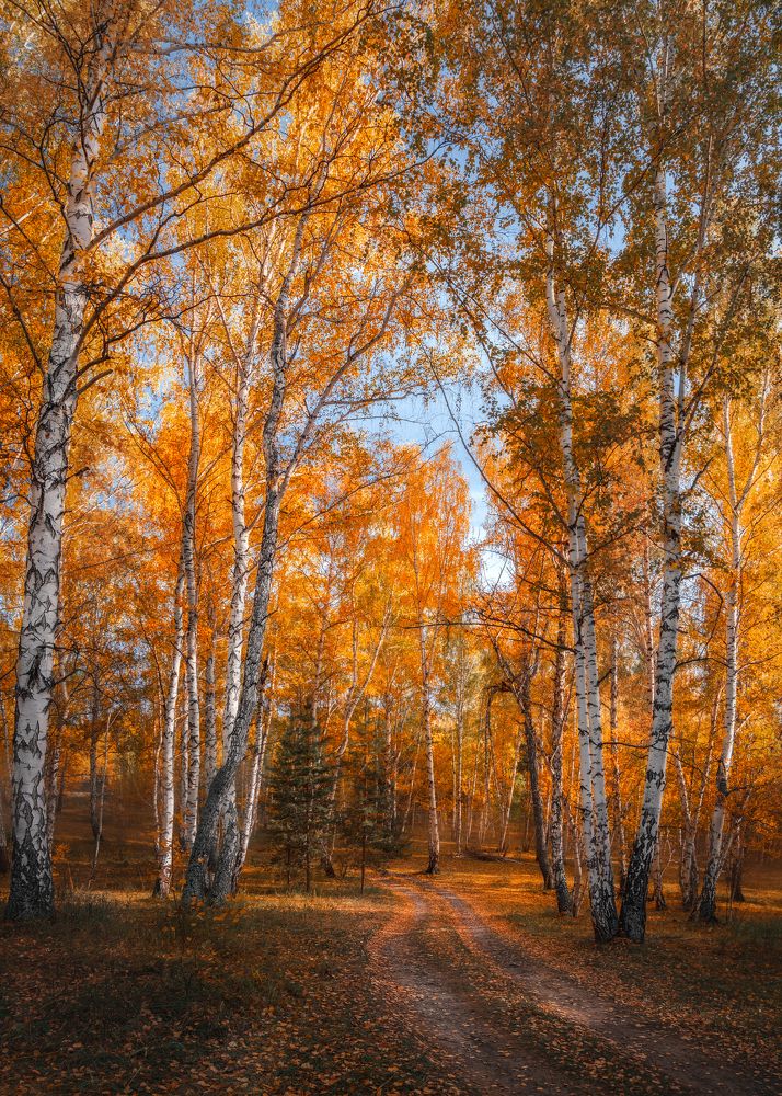 Photograph by Ivan Sazykin