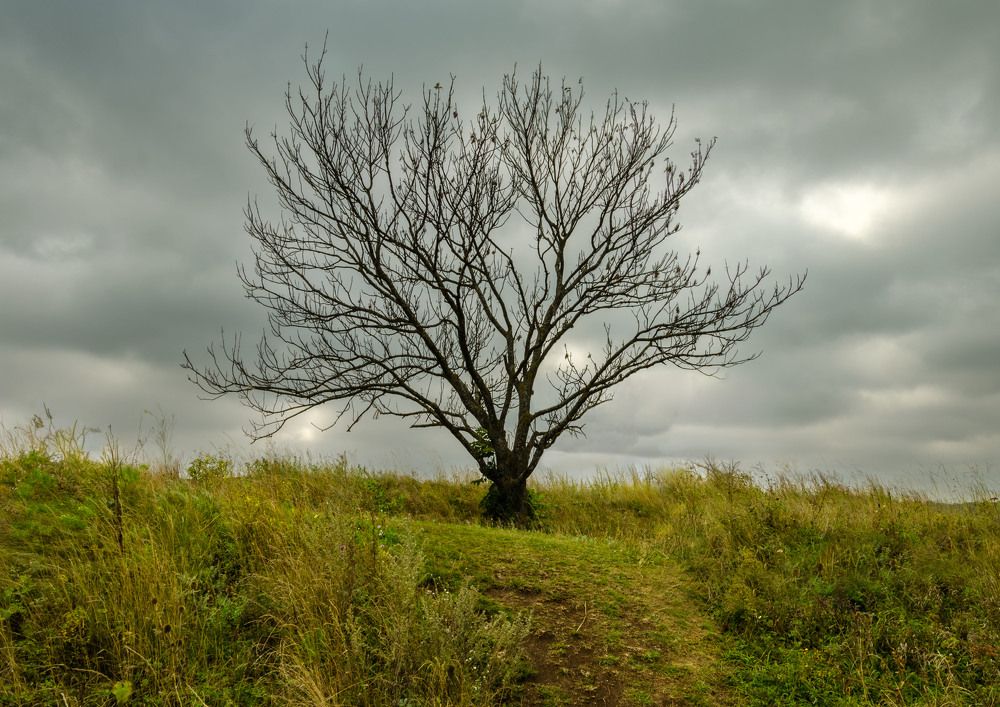 Фотография автора Игорь Амелин