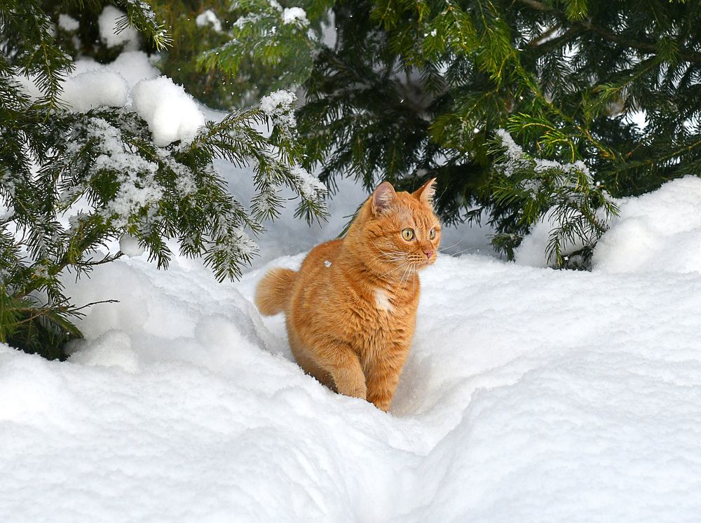 Photograph by NADEZHDA PELYMSKAIA