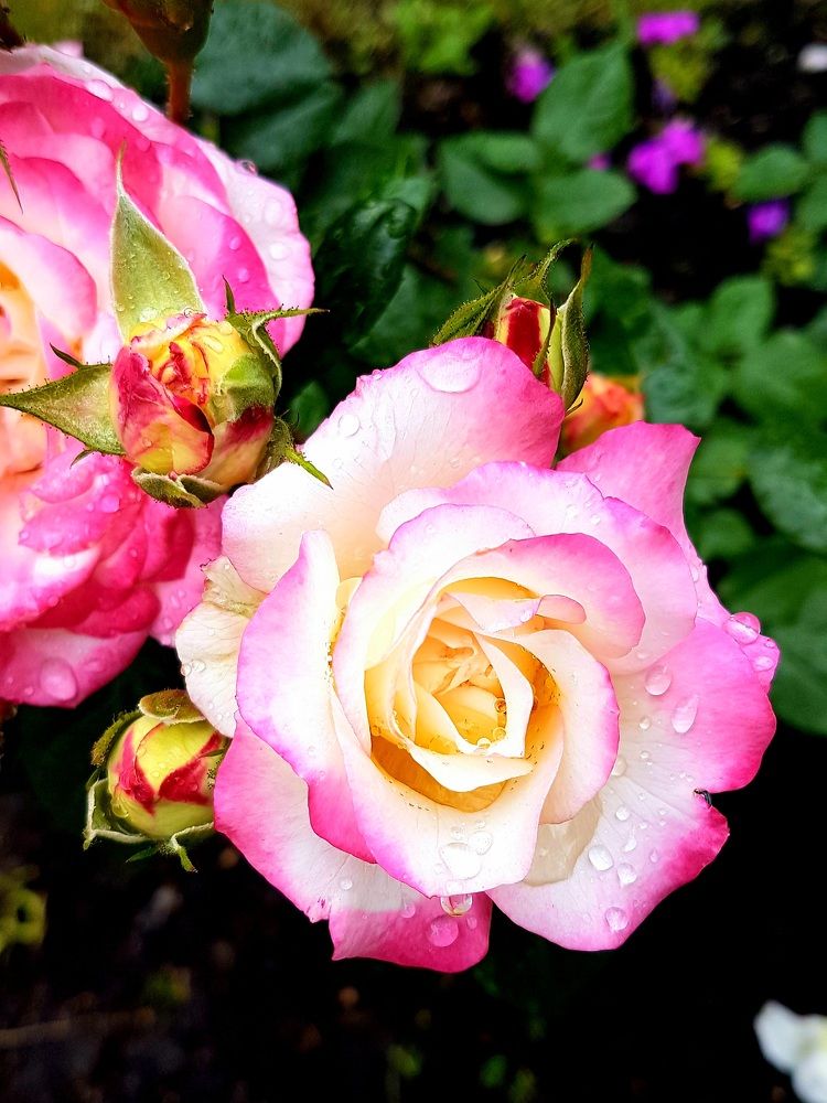 Photograph by Марина Козлова