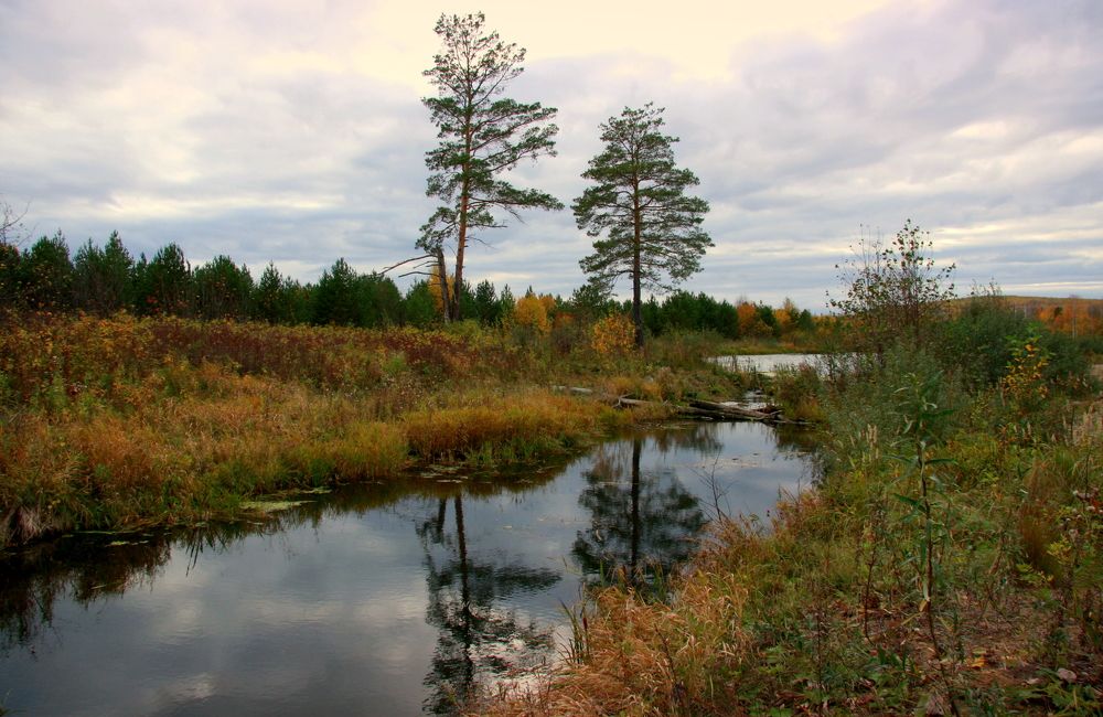 Фотография автора Nelya  Lysenko