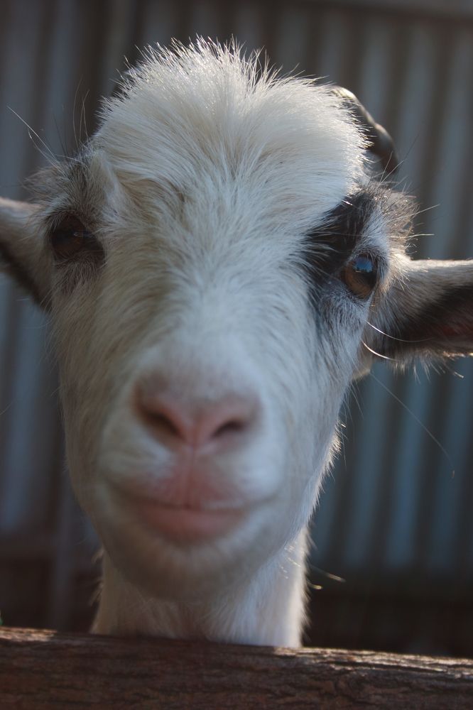 Photograph by Нелли