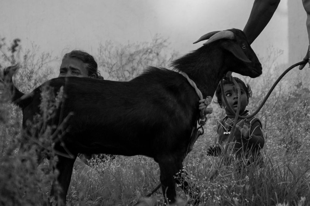 Photograph by Sathya Surya