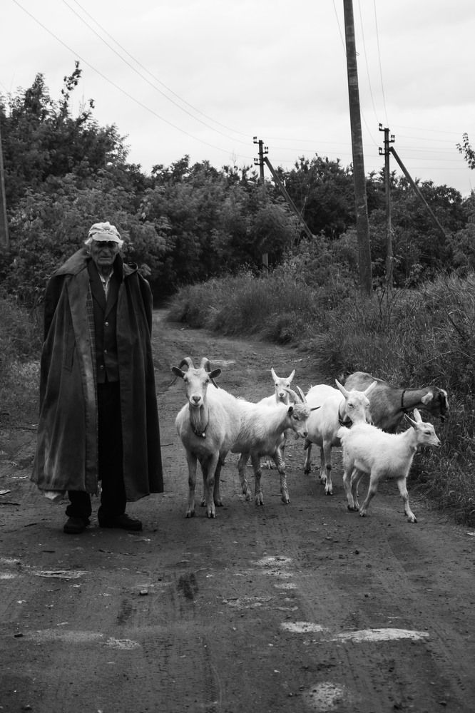 Photograph by Нелли Золотая