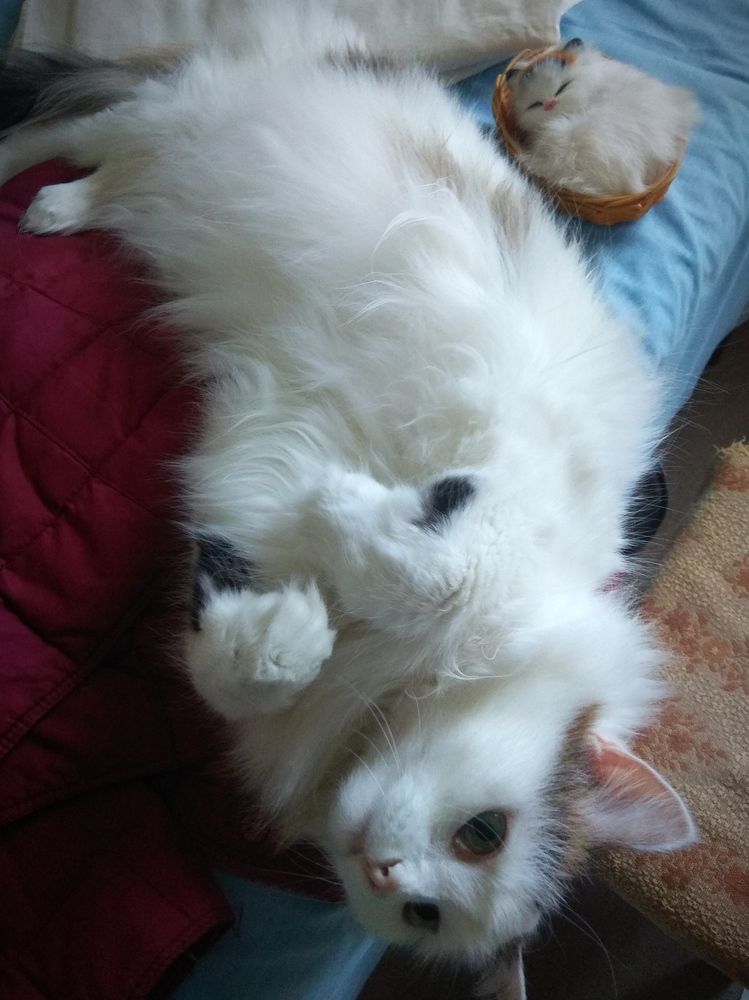 Photograph by Татьяна Кунц