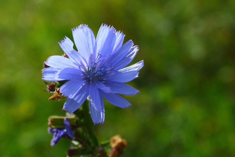 Photograph by Елена