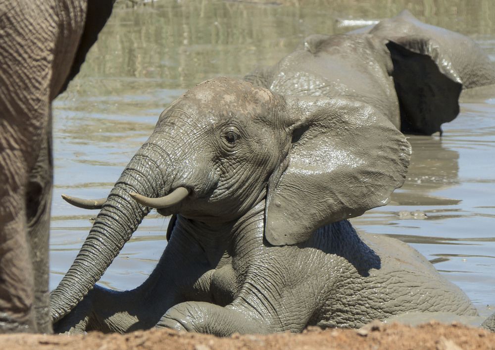 Photograph by Валентина Лопаткина