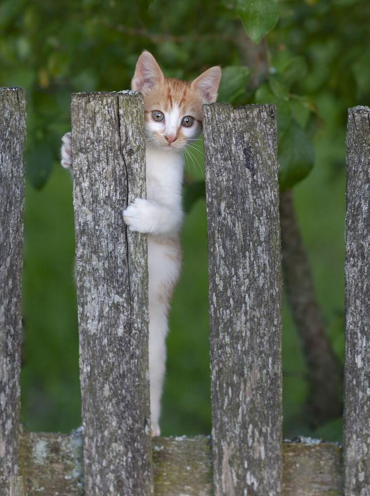 Photograph by Александр Гвоздь