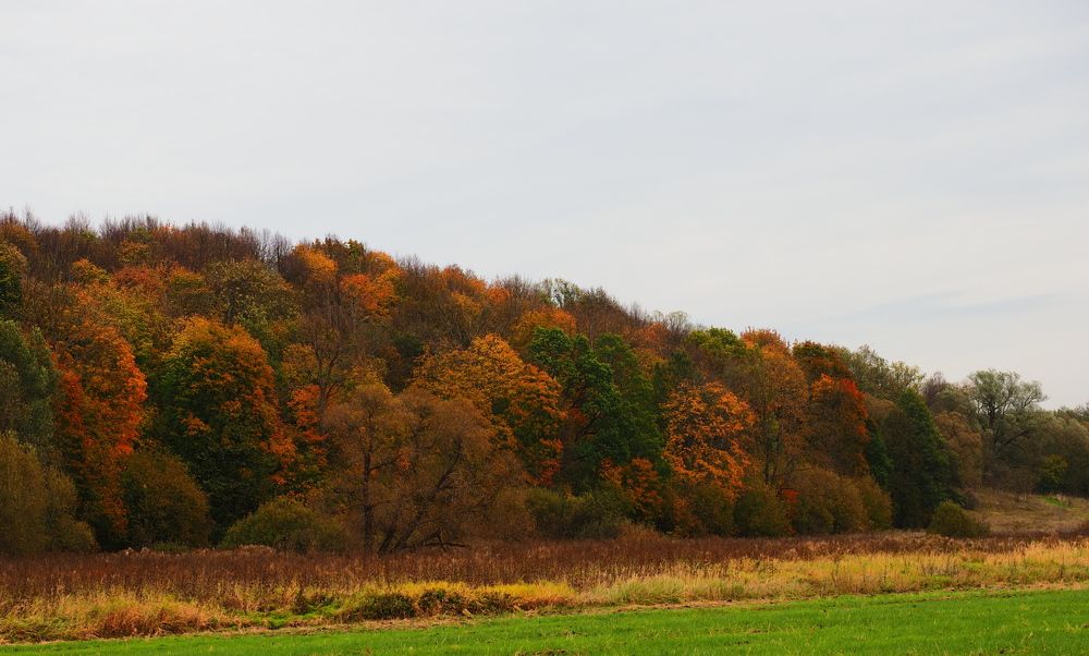 Photograph by Виктор Комиссаров