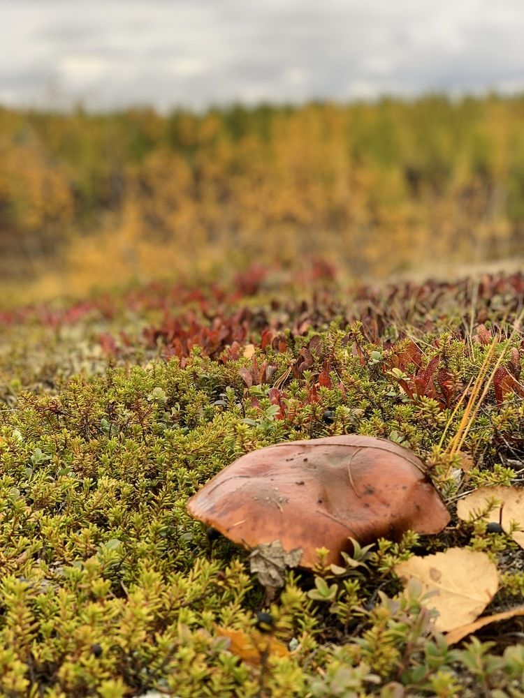 Photograph by Юлия