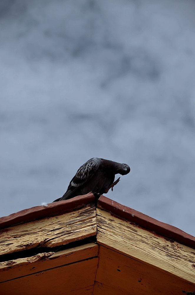 Photograph by Мария Зыкова