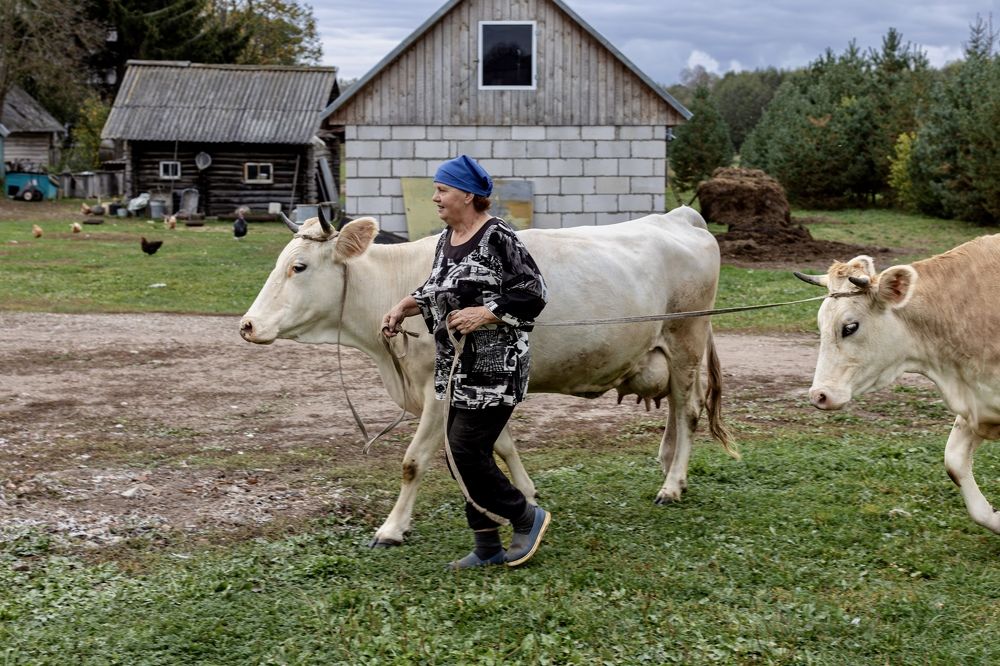 Photograph by Ольга Веретенникова