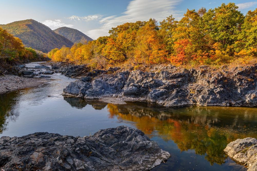 Краски осени