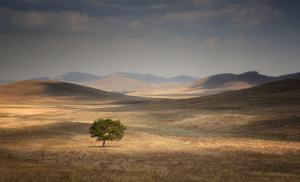 Photograph by Татьяна Бирюкова
