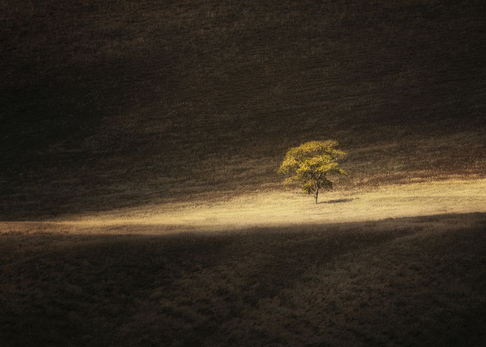 Photograph by Бирюкова Татьяна