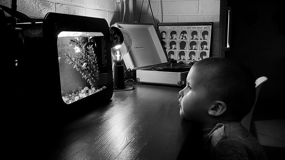 Photograph by Андрей