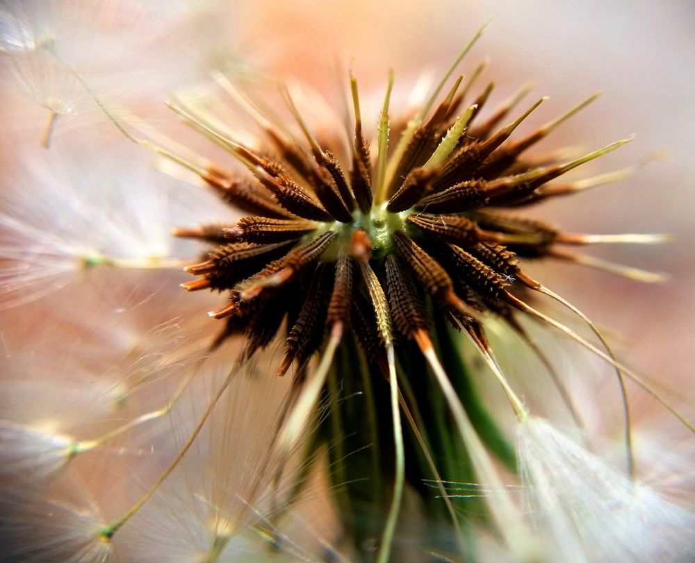 Photograph by Kapil Singh