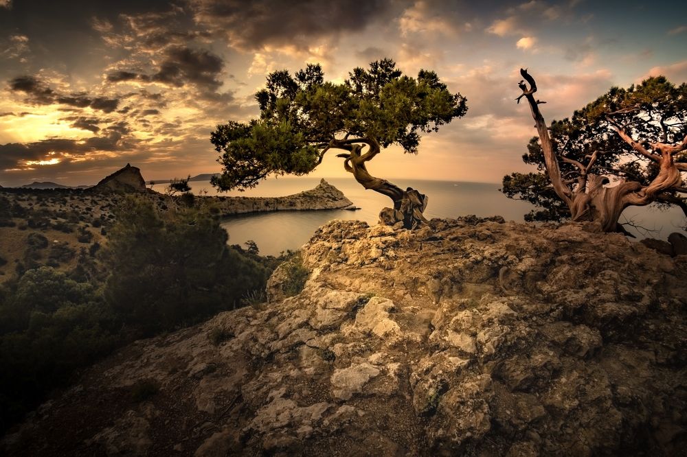 Photograph by Александр Разумов