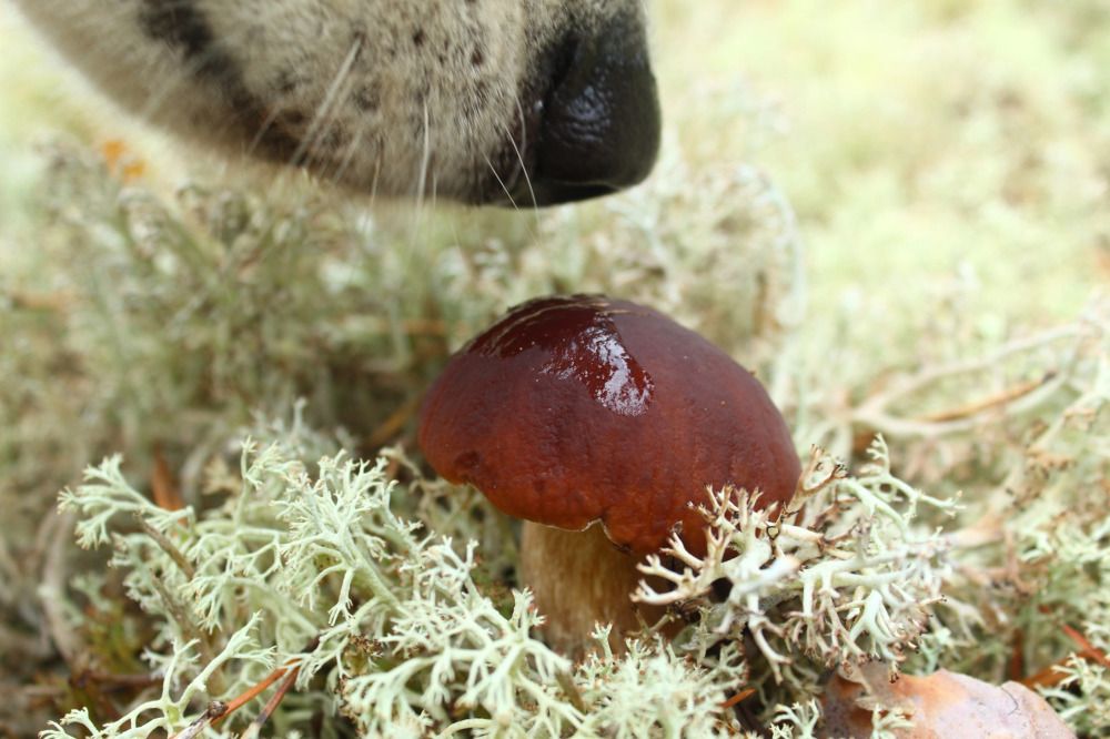 Photograph by Елена