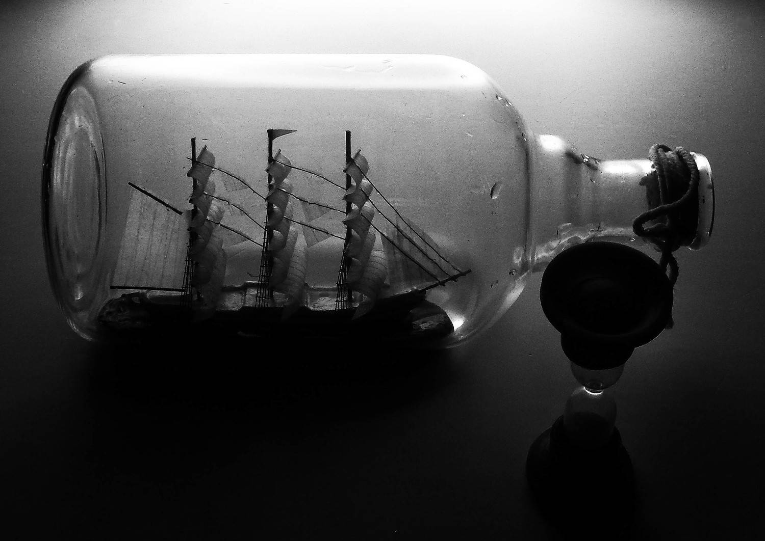 Photo #9676231