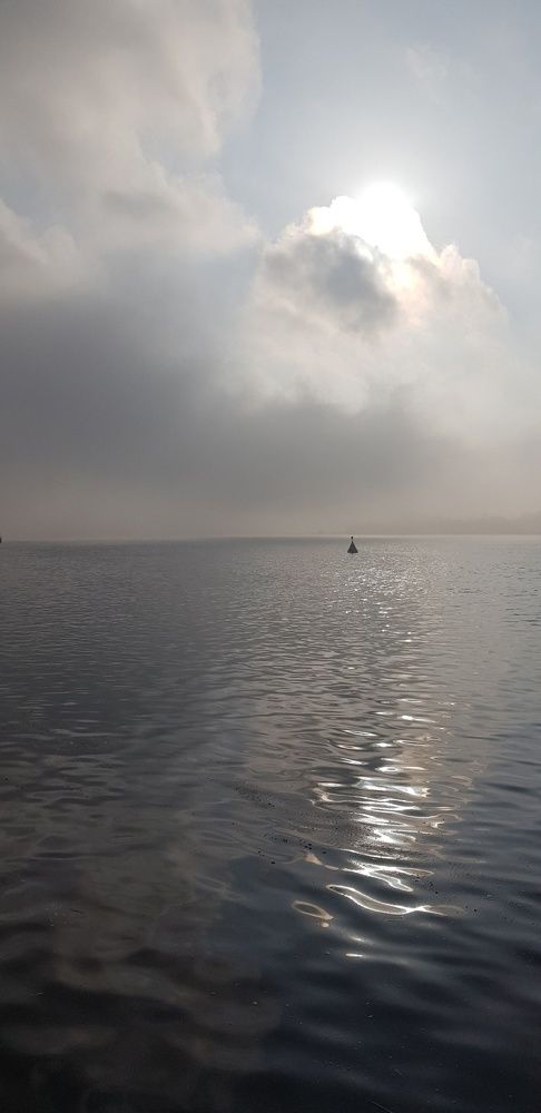 Фотография автора Ольга Мусина