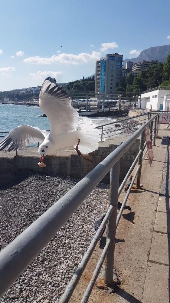 Фотография автора Ольга Мусина