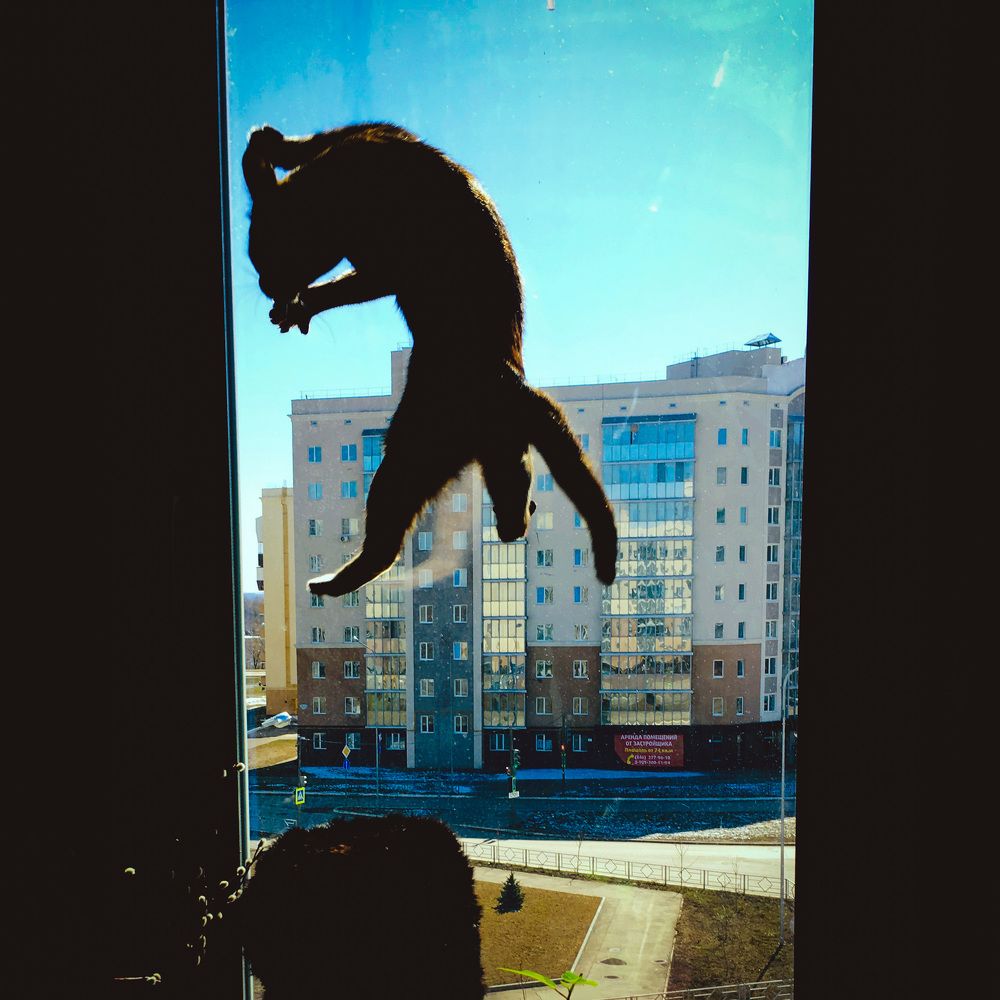 Photograph by Валерия Спирина