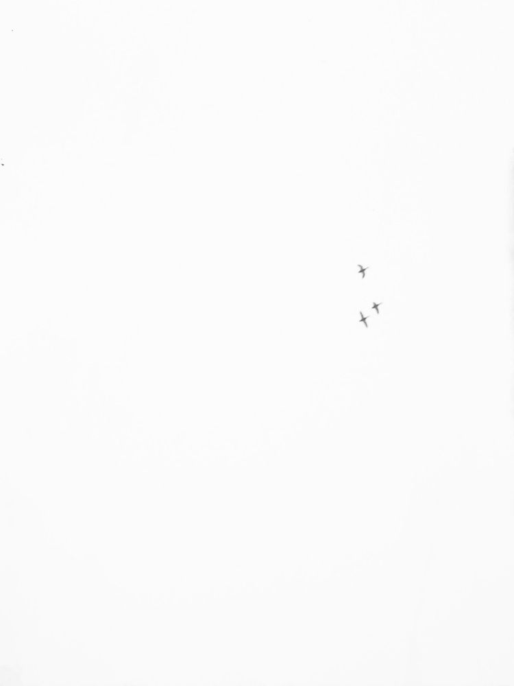 Photograph by Зоя Кулько