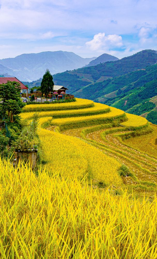 Photograph by PHƯƠNG NGUYỄN THÀNH