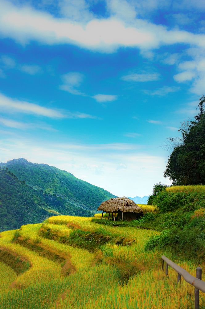 Photograph by PHƯƠNG NGUYỄN THÀNH