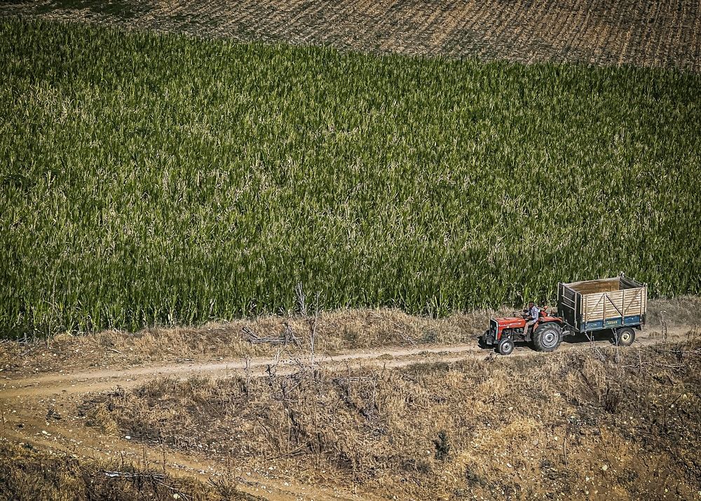 Photograph by amir ali navadeh shahla