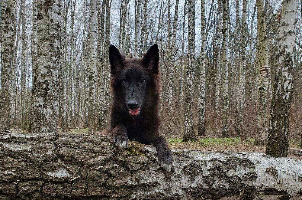 Фотография автора Надежда Лисицына
