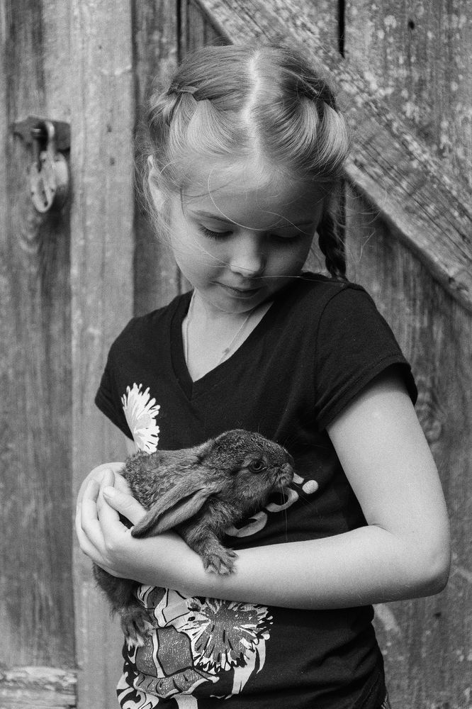 Photograph by Елена Стещенко