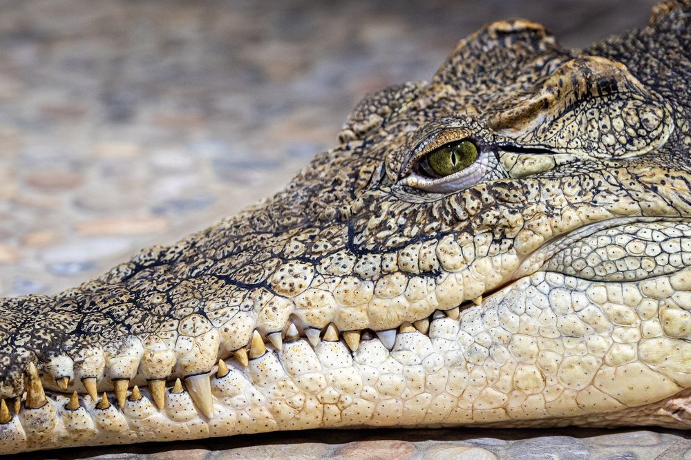 Photograph by Аверина Елена