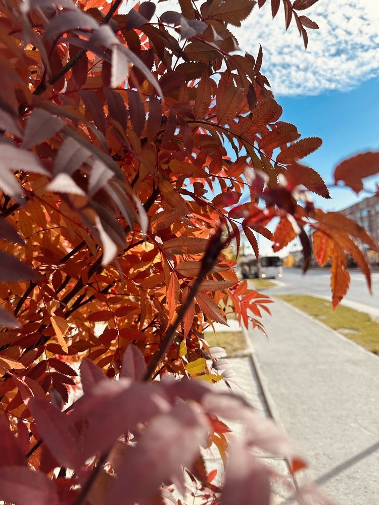 Photograph by Юлия