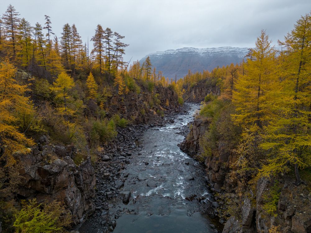 Photograph by Баландин Дмитрий