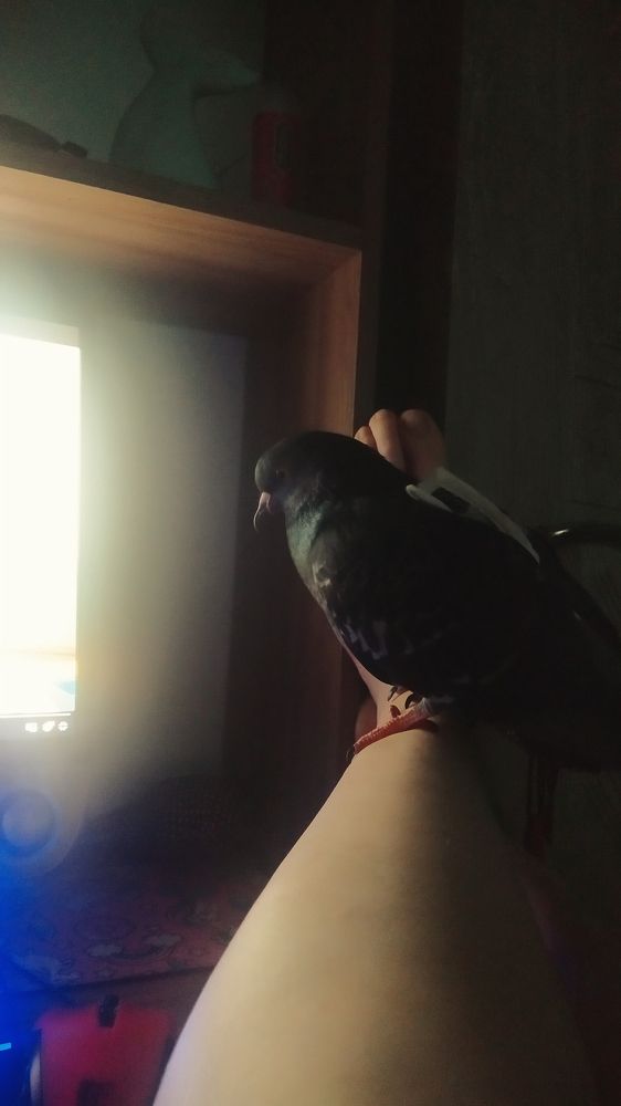 Photograph by Катерина Гущина