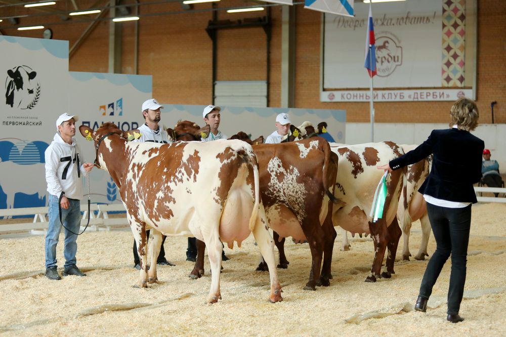 Photograph by Екатерина Михайлова