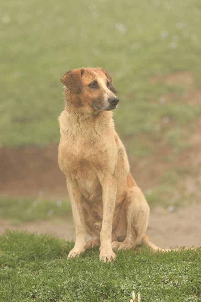 Photograph by Farzane Farahpour