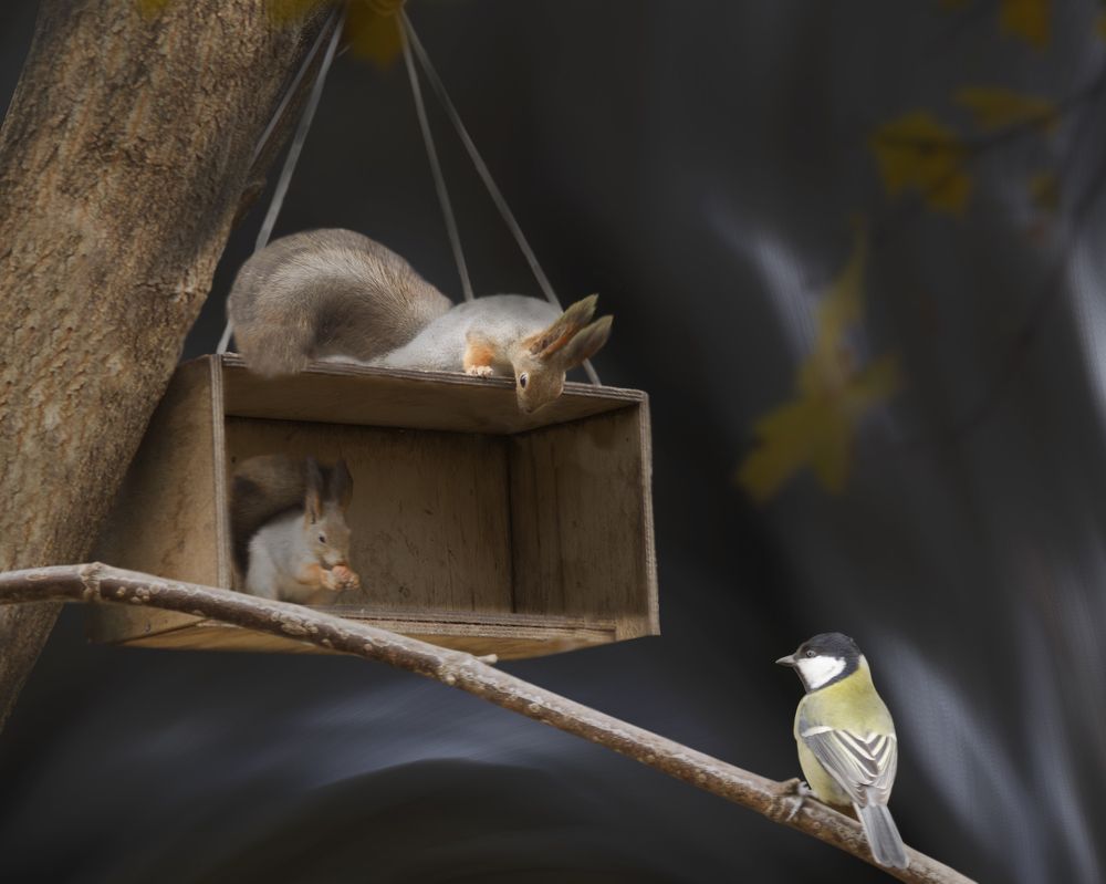 Photograph by T. Bondarenko