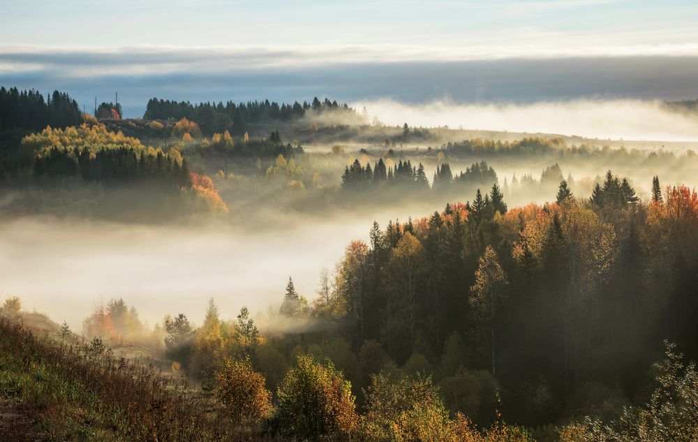 Photograph by Соколова Елена