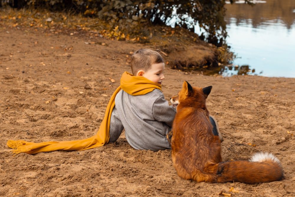 Photograph by Анна Авилочкина